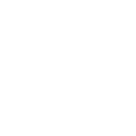 Brave Analytics Partners - AWS Austria Wirtschaft Service Logo