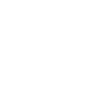 Brave Analytics Partners - Bio Nanonet Logo