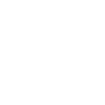 Brave Analytics Partners - Creative Nano Logo