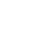 Brave Analytics Partners - FFG Logo