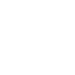 Brave Analytics Partners - Fluidnova Logo