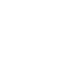 Brave Analytics Partners - Medizinische Universität Graz Logo