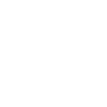 Brave Analytics Partners - ZWT Logo