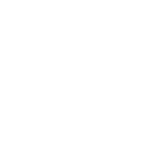 Brave Analytics Partners - FELMI-ZFE Logo