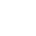 Brave Analytics Partners - Fresenius Kabi Logo